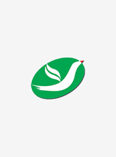 刘丽